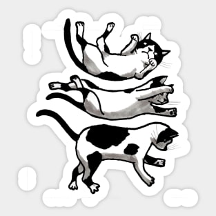 The Cat Is Falling Sticker